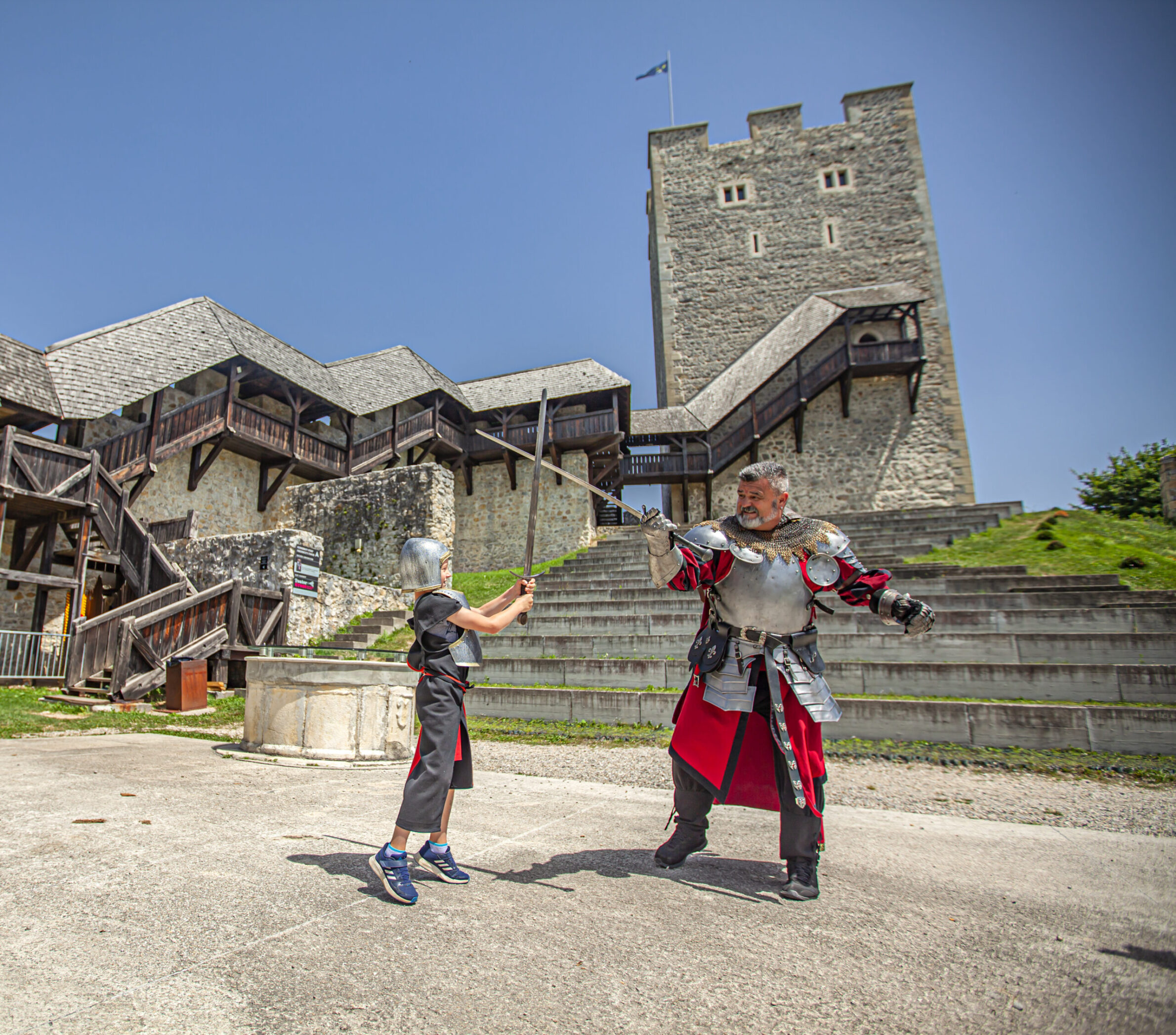 Stari grad Celje