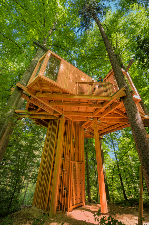 Cenik vodenj izven obratovalnega časa Drevesne hiše