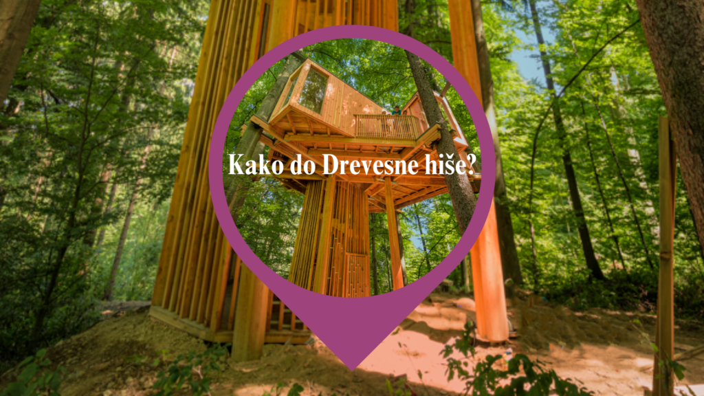 Kako do Drevesne hiše Celje